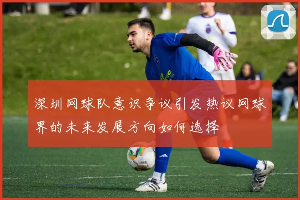 深圳网球队意识争议引发热议网球界的未来发展方向如何选择