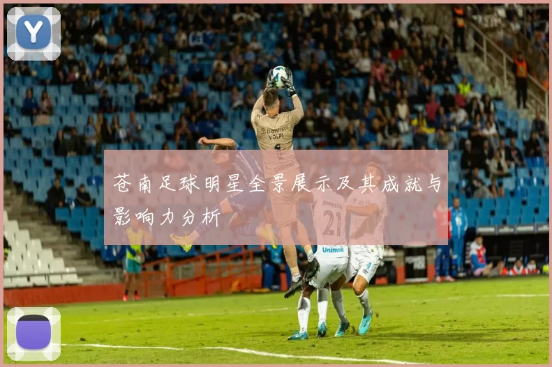 苍南足球明星全景展示及其成就与影响力分析