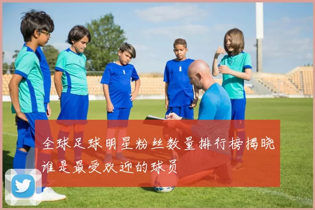 全球足球明星粉丝数量排行榜揭晓谁是最受欢迎的球员