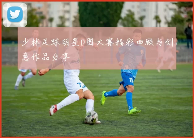 少林足球明星p图大赛精彩回顾与创意作品分享