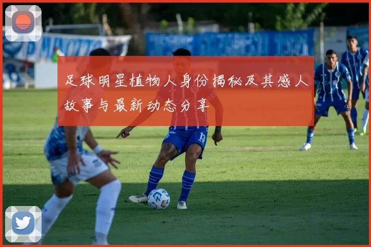 足球明星植物人身份揭秘及其感人故事与最新动态分享
