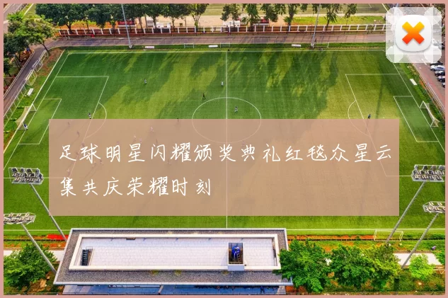 足球明星闪耀颁奖典礼红毯众星云集共庆荣耀时刻