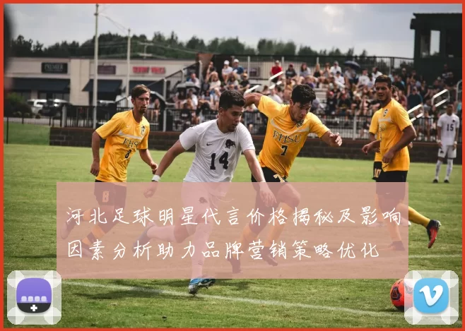 河北足球明星代言价格揭秘及影响因素分析助力品牌营销策略优化