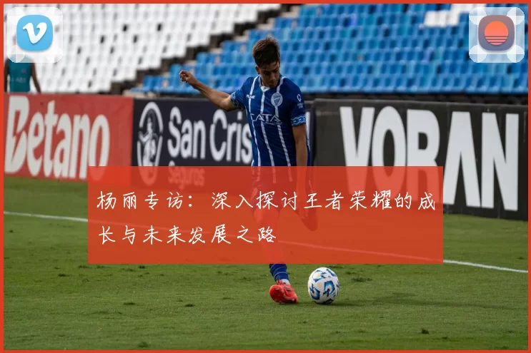 杨丽专访：深入探讨王者荣耀的成长与未来发展之路