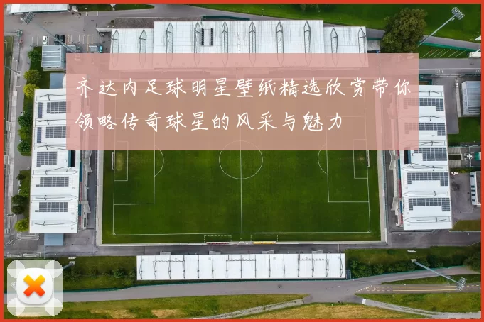 齐达内足球明星壁纸精选欣赏带你领略传奇球星的风采与魅力