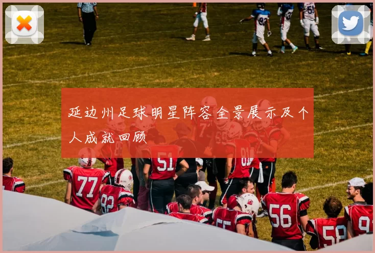 延边州足球明星阵容全景展示及个人成就回顾