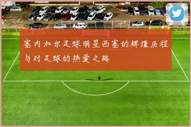 塞内加尔足球明星西塞的辉煌历程与对足球的热爱之路