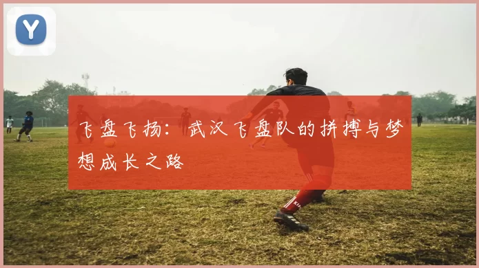飞盘飞扬：武汉飞盘队的拼搏与梦想成长之路