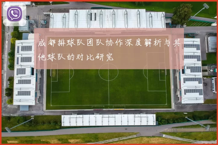 成都排球队团队协作深度解析与其他球队的对比研究
