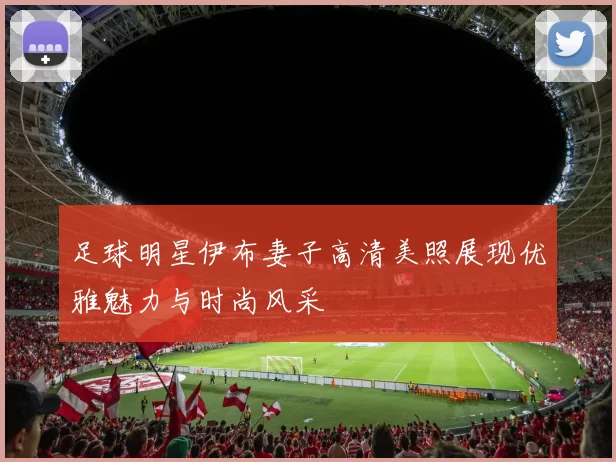足球明星伊布妻子高清美照展现优雅魅力与时尚风采