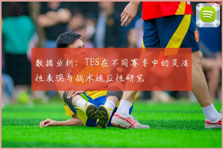 数据分析：TES在不同赛季中的灵活性表现与战术适应性研究