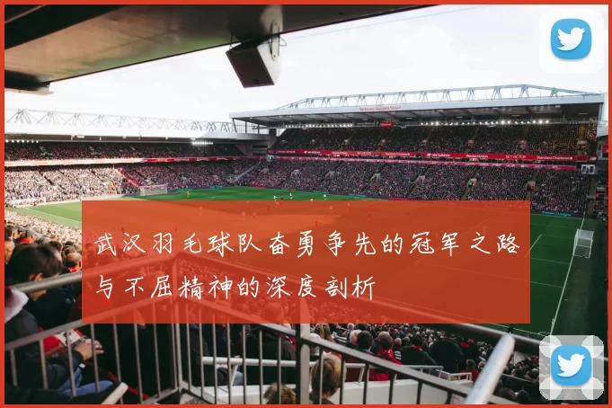 武汉羽毛球队奋勇争先的冠军之路与不屈精神的深度剖析