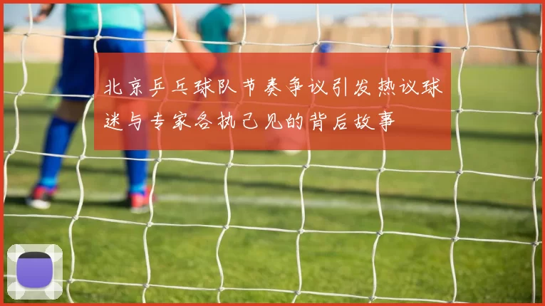 北京乒乓球队节奏争议引发热议球迷与专家各执己见的背后故事