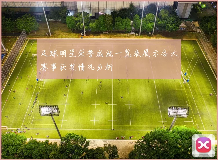 足球明星荣誉成就一览表展示各大赛事获奖情况分析