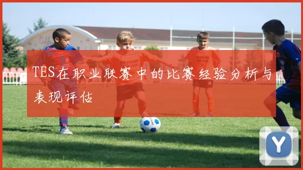 TES在职业联赛中的比赛经验分析与表现评估