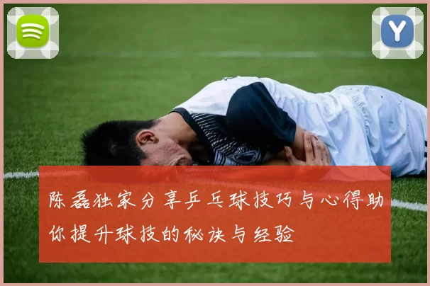 陈磊独家分享乒乓球技巧与心得助你提升球技的秘诀与经验