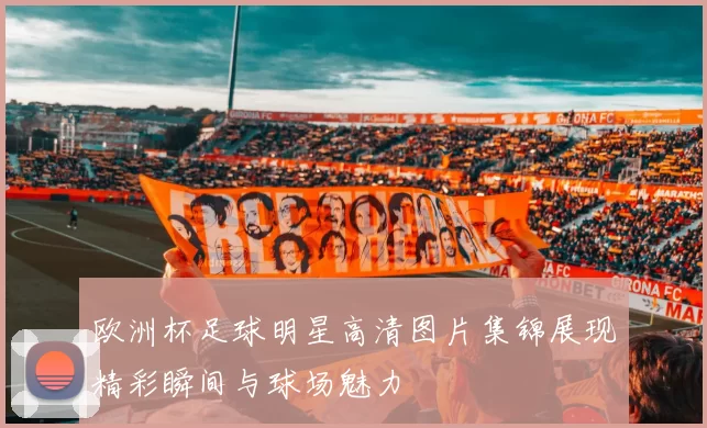 欧洲杯足球明星高清图片集锦展现精彩瞬间与球场魅力
