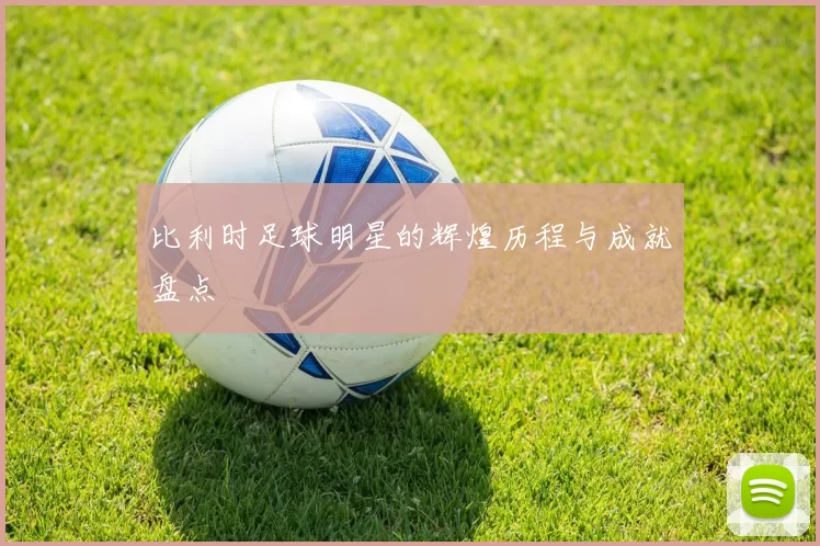 比利时足球明星的辉煌历程与成就盘点