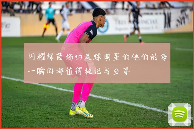 闪耀绿茵场的足球明星们他们的每一瞬间都值得铭记与分享