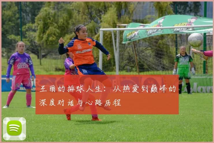 王丽的排球人生：从热爱到巅峰的深度对话与心路历程
