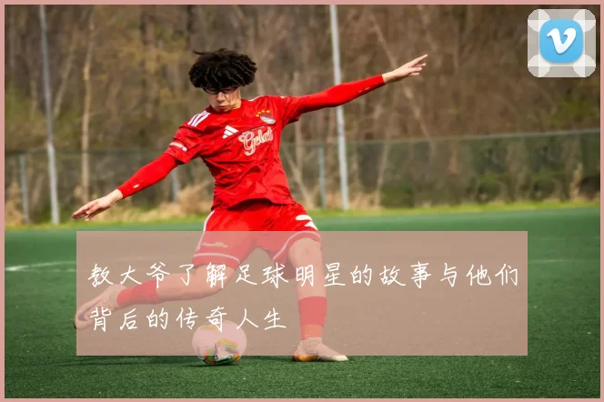 教大爷了解足球明星的故事与他们背后的传奇人生