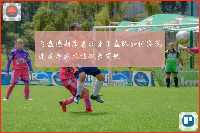 飞盘热潮席卷北京飞盘队如何实现速度与技术的双重突破