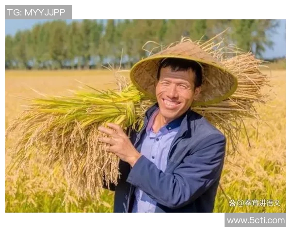 五谷丰登:探索五大主要农作物的种植技术与生态价值 五谷丰登:探索五大主要农作物的种植技术与生态价值