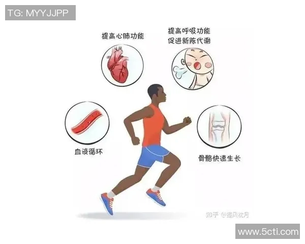 心肺功能在整体健康中的核心作用及其对身体各系统的影响分析